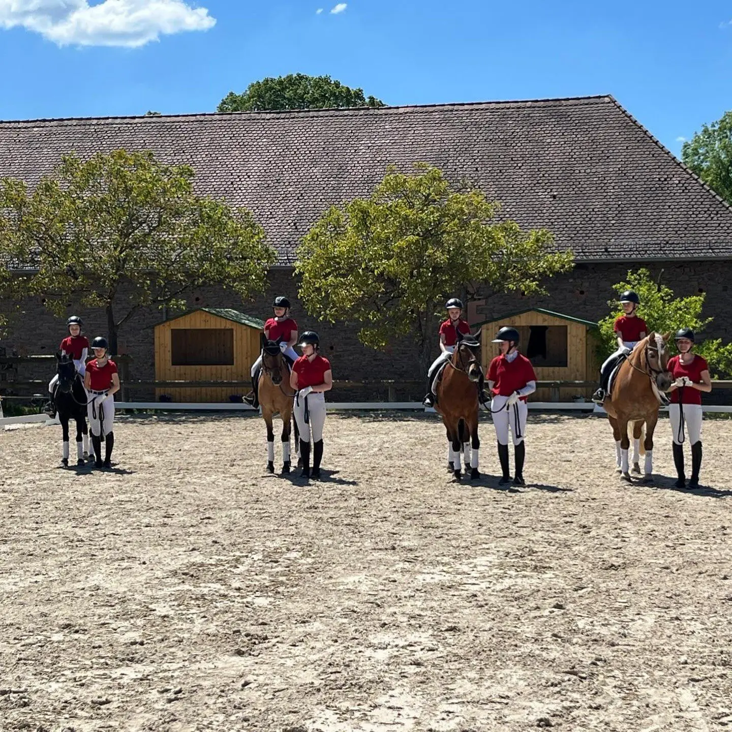 Foto 1 von 6: Dressurturnier am Hofgut Hauenstein