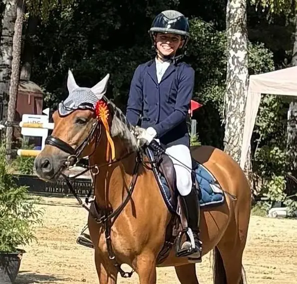 Foto 6 von 8: Erfolgreiche Wochenenden im Springsport
