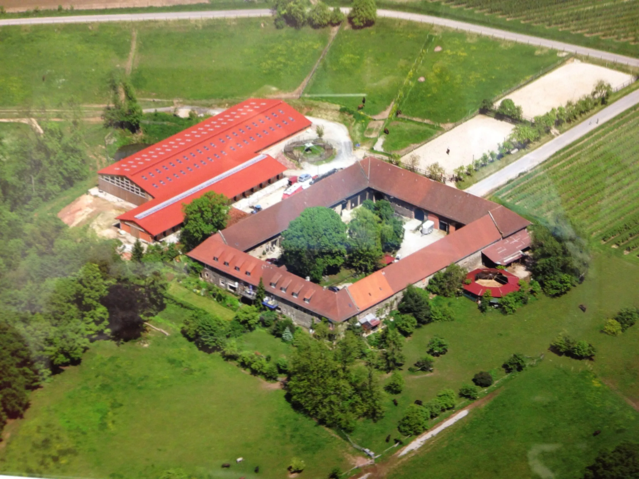 Luftaufnahme des Hofguts Hauenstein mit Reithalle, Stallungen und Turnierplatz
